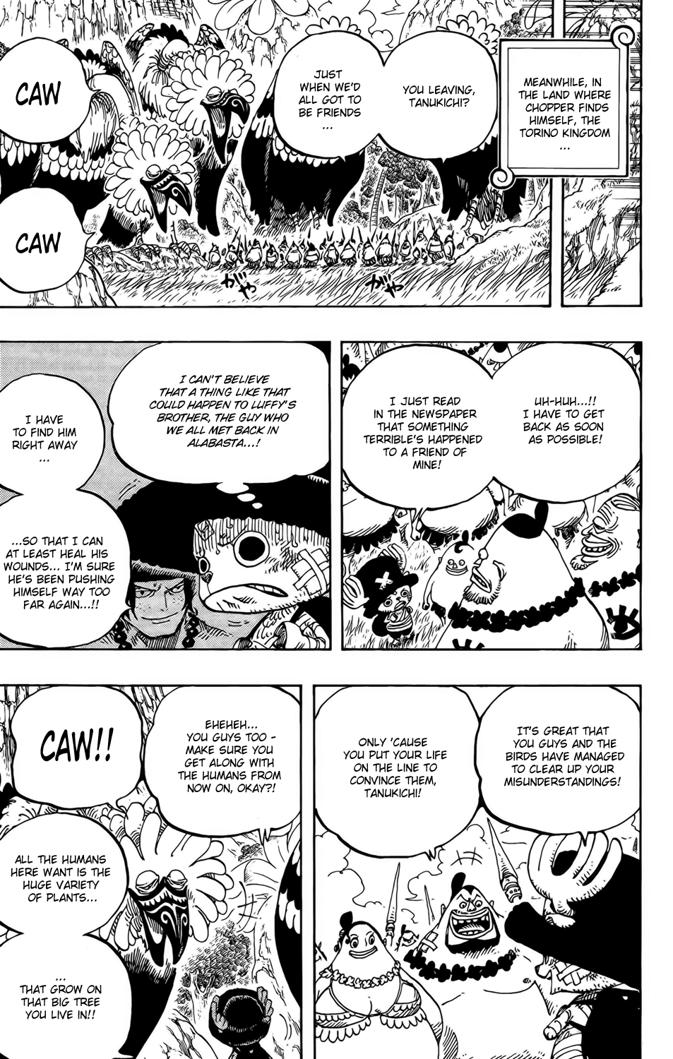 One Piece, Chapter 591 image 17